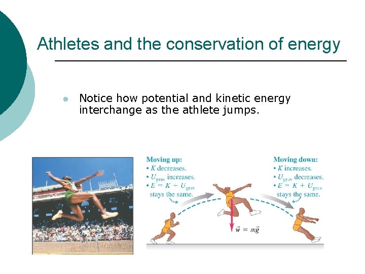 Athletes and the conservation of energy l Notice how potential and kinetic energy interchange