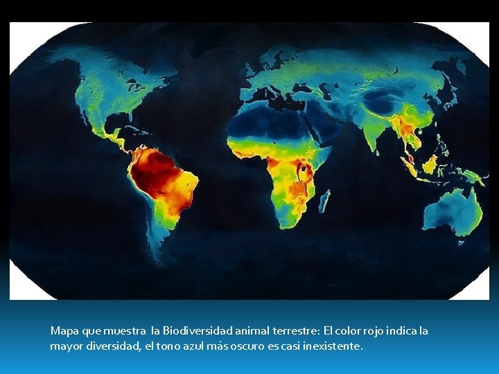Mapa que muestra la Biodiversidad animal terrestre: El color rojo indica la mayor diversidad,