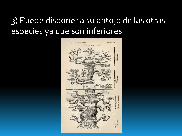 3) Puede disponer a su antojo de las otras especies ya que son inferiores