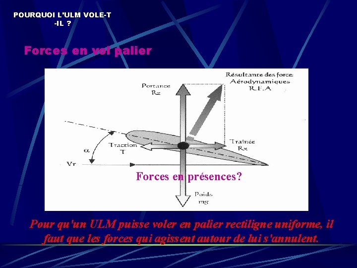 POURQUOI L'ULM VOLE-T -IL ? Forces en vol palier Forces en présences? Pour qu'un