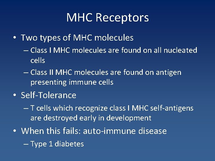 MHC Receptors • Two types of MHC molecules – Class I MHC molecules are