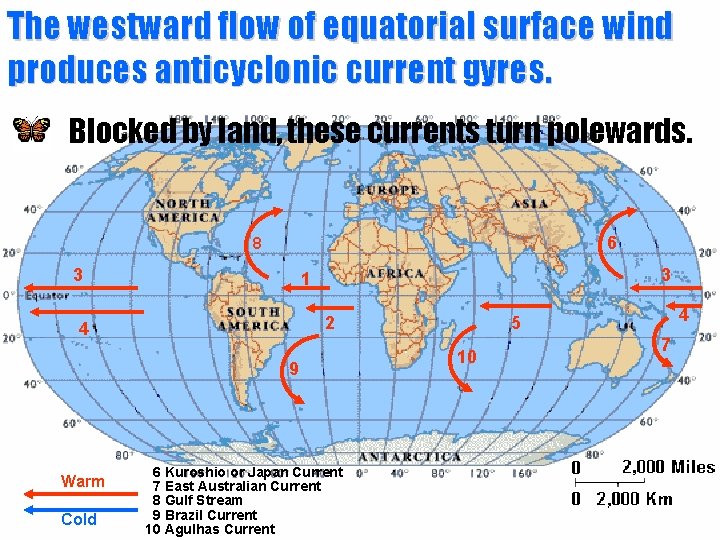 The westward flow of equatorial surface wind produces anticyclonic current gyres. Blocked by land,