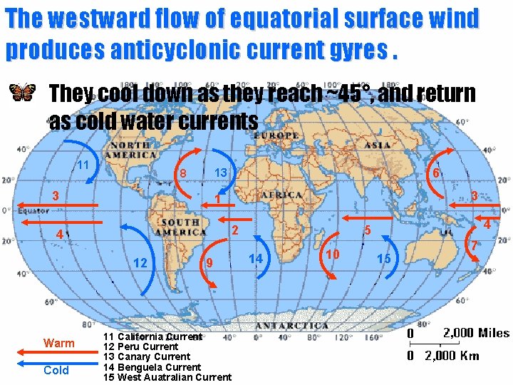 The westward flow of equatorial surface wind produces anticyclonic current gyres. They cool down