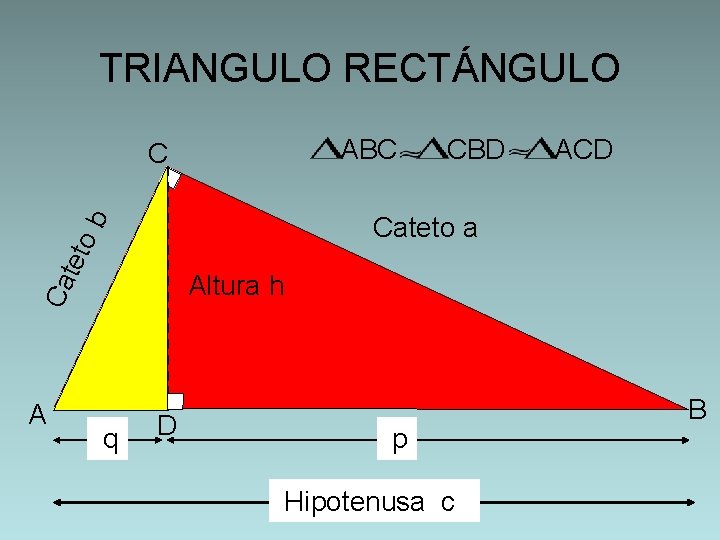 TRIANGULO RECTÁNGULO ABC C tet ob q ACD Cateto a Altura h Ca A