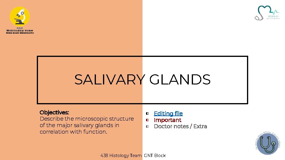 SALIVARY GLANDS Objectives: Describe the microscopic structure of the major salivary glands in correlation