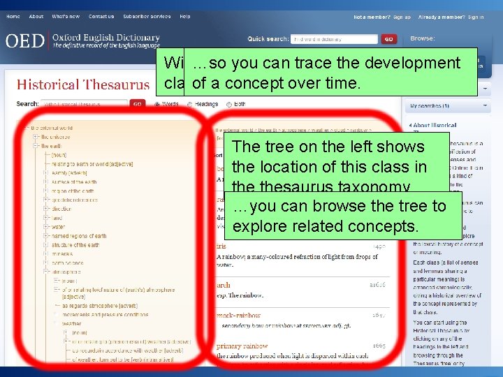 Within …so theyou thesaurus, can traceallthe thedevelopment terms in a class of are a