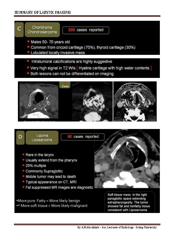SUMMARY OF LARYNX IMAGING By A. M. Abodahab – Ass. Lecturer of Radiology -