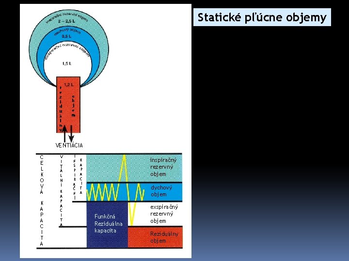 Statické pľúcne objemy r e z i d u á l n y o