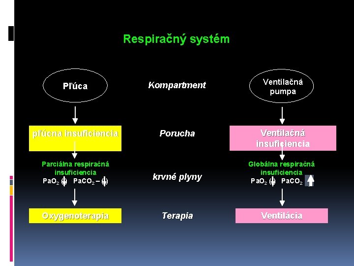 Respiračný systém Pľúca Kompartment Ventilačná pumpa pľúcna insuficiencia Porucha Ventilačná insuficiencia Parciálna respiračná insuficiencia