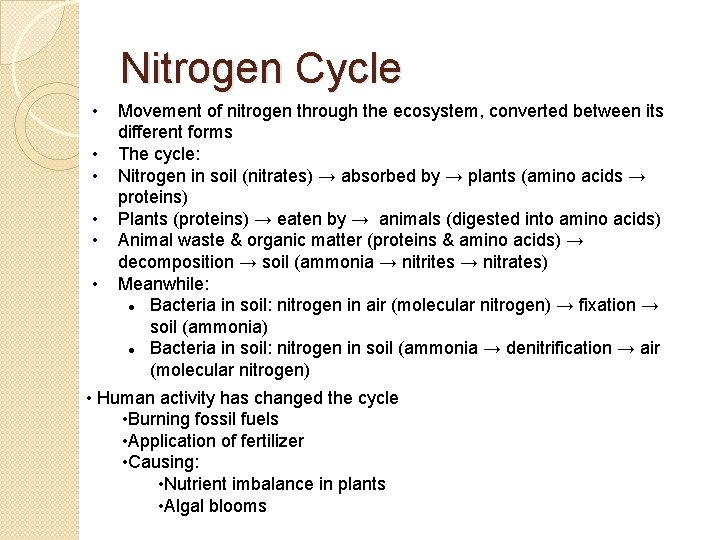 Nitrogen Cycle • • • Movement of nitrogen through the ecosystem, converted between its