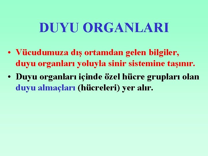 DUYU ORGANLARI • Vücudumuza dış ortamdan gelen bilgiler, duyu organları yoluyla sinir sistemine taşınır.