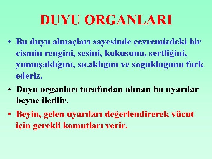 DUYU ORGANLARI • Bu duyu almaçları sayesinde çevremizdeki bir cismin rengini, sesini, kokusunu, sertliğini,