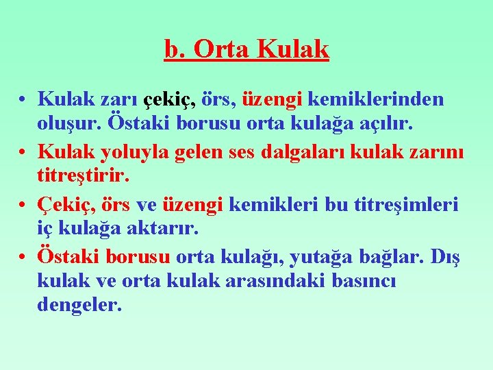 b. Orta Kulak • Kulak zarı çekiç, örs, üzengi kemiklerinden oluşur. Östaki borusu orta