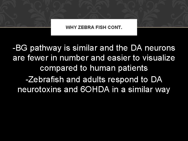 WHY ZEBRA FISH CONT. -BG pathway is similar and the DA neurons are fewer