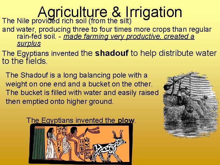 Agriculture & Irrigation The Nile provided rich soil (from the silt) and water, producing