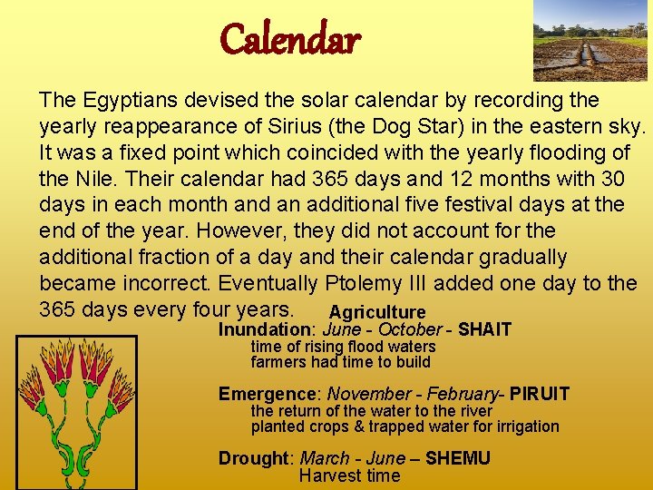 Calendar The Egyptians devised the solar calendar by recording the yearly reappearance of Sirius