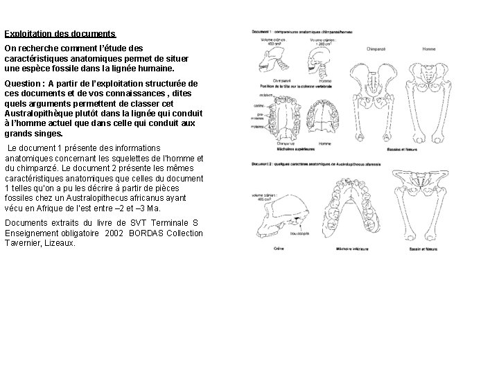 Exploitation des documents On recherche comment l’étude des caractéristiques anatomiques permet de situer une