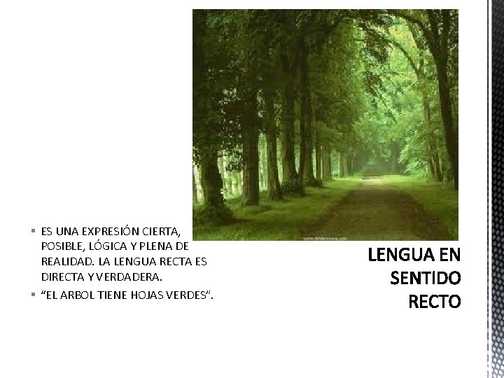 § ES UNA EXPRESIÓN CIERTA, POSIBLE, LÓGICA Y PLENA DE REALIDAD. LA LENGUA RECTA