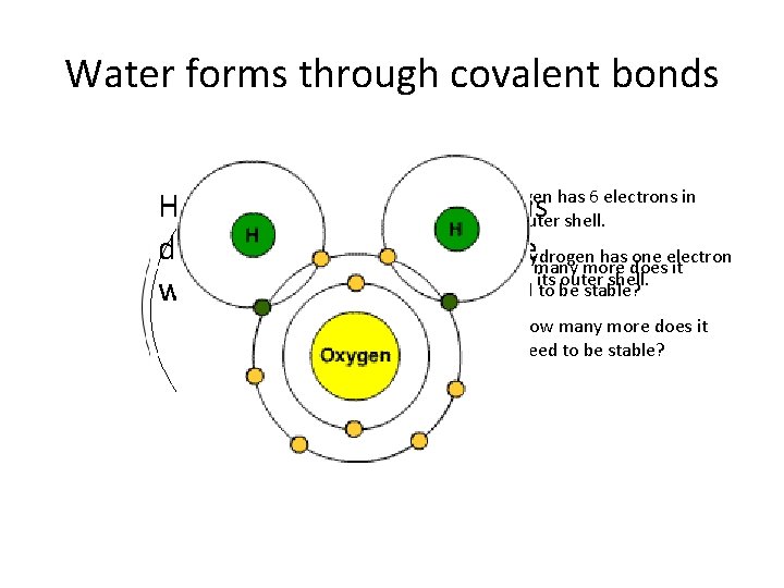 Water forms through covalent bonds Oxygen has 6 electrons in How many hydrogen atoms