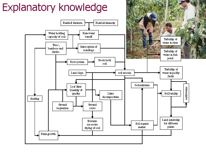 Explanatory knowledge Rainfall intensity Water holding capacity of soil Rain water runoff Trees, bamboos