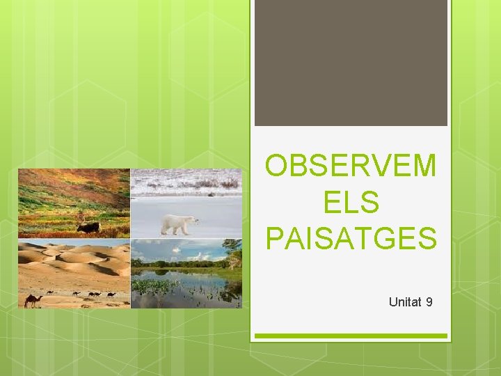 OBSERVEM ELS PAISATGES Unitat 9 