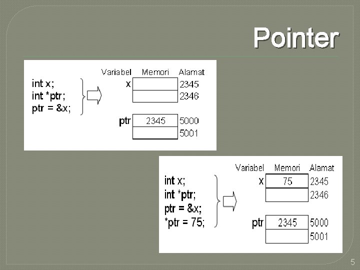 Pointer 5 