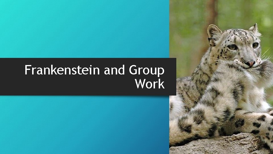 Frankenstein and Group Work 