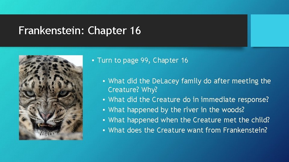 Frankenstein: Chapter 16 • Turn to page 99, Chapter 16 • What did the