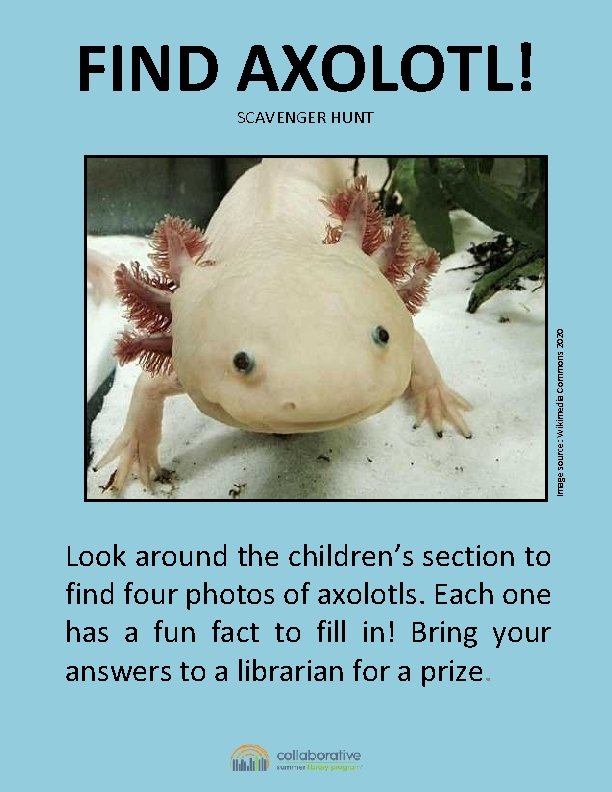FIND AXOLOTL! Image source: Wikimedia Commons 2020 SCAVENGER HUNT Look around the children’s section