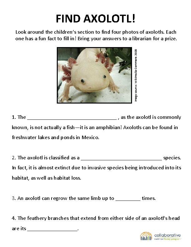FIND AXOLOTL! Image source: Wikimedia Commons 2020 Look around the children’s section to find