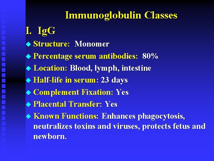 Immunoglobulin Classes I. Ig. G u Structure: Monomer u Percentage serum antibodies: 80% u