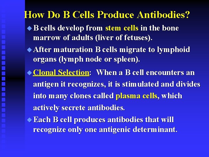 How Do B Cells Produce Antibodies? u B cells develop from stem cells in