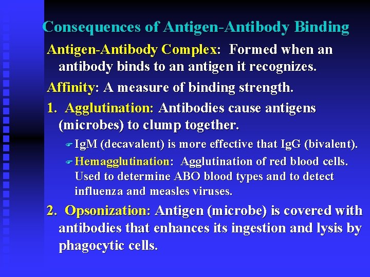 Consequences of Antigen-Antibody Binding Antigen-Antibody Complex: Formed when an antibody binds to an antigen