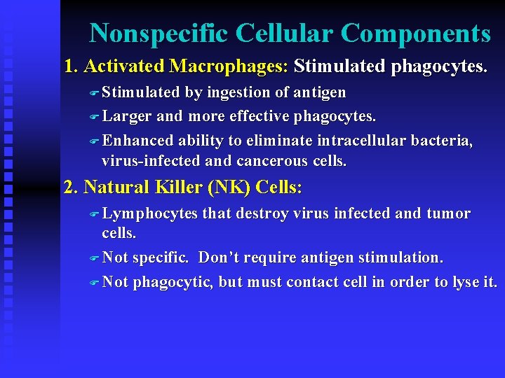 Nonspecific Cellular Components 1. Activated Macrophages: Stimulated phagocytes. F Stimulated by ingestion of antigen