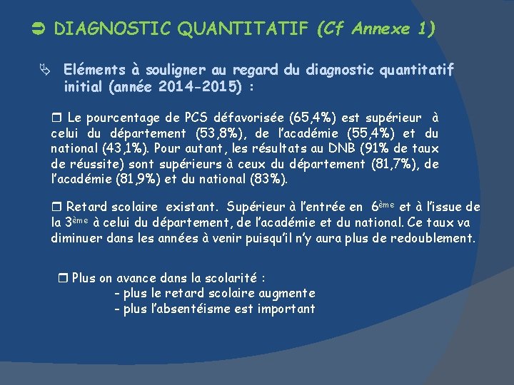  DIAGNOSTIC QUANTITATIF (Cf Annexe 1) Eléments à souligner au regard du diagnostic quantitatif