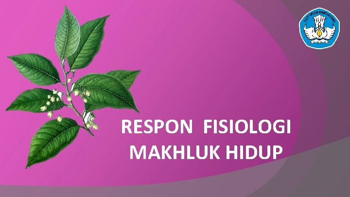 RESPON FISIOLOGI MAKHLUK HIDUP 