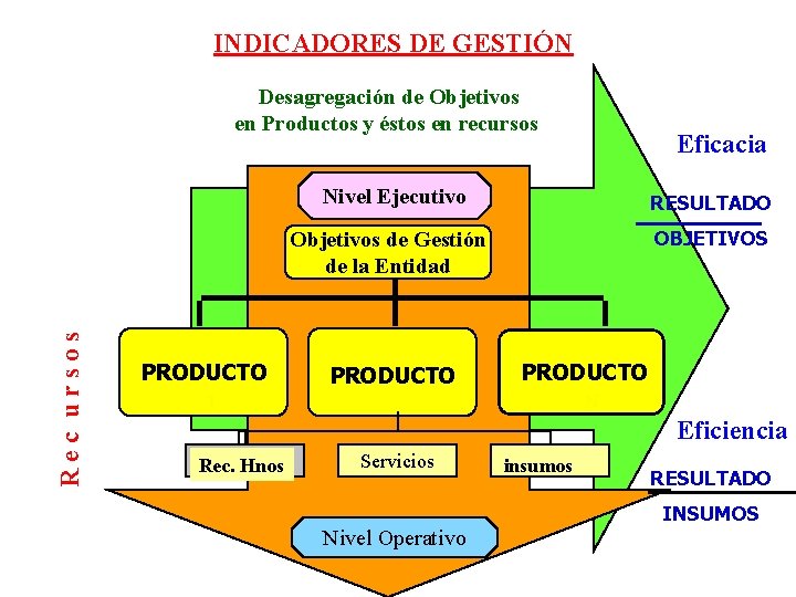 INDICADORES DE GESTIÓN Desagregación de Objetivos en Productos y éstos en recursos Eficacia Nivel