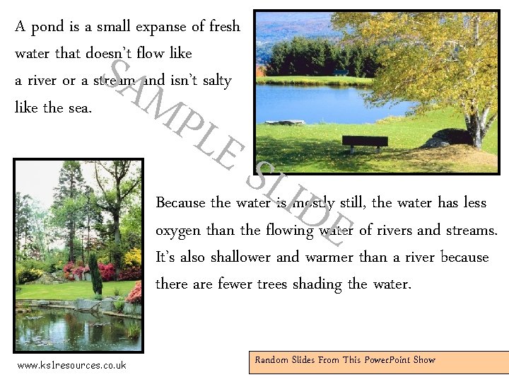 A pond is a small expanse of fresh water that doesn’t flow like a