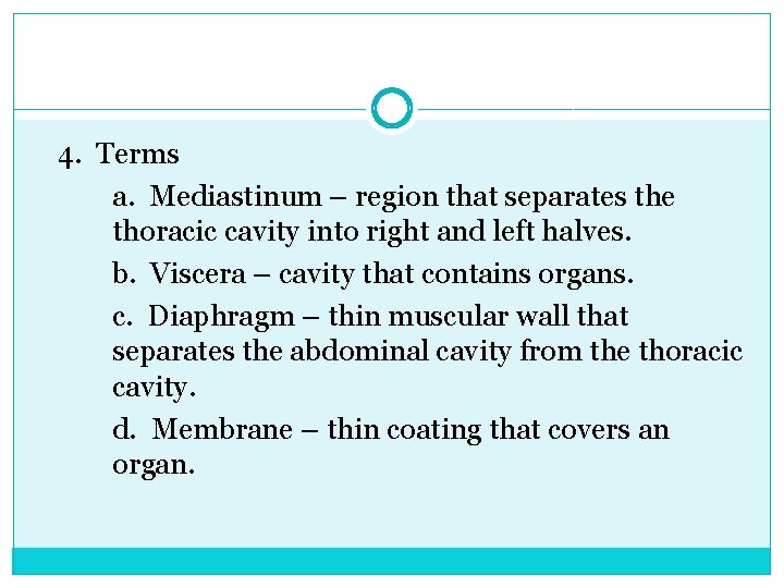 4. Terms a. Mediastinum – region that separates the thoracic cavity into right and
