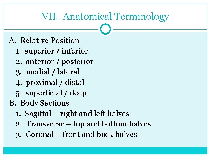 VII. Anatomical Terminology A. Relative Position 1. superior / inferior 2. anterior / posterior