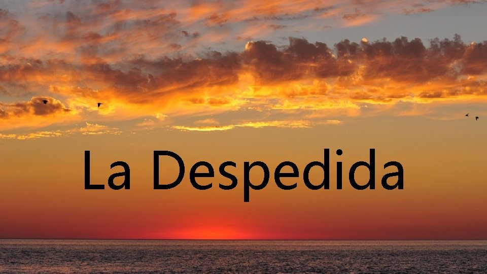 La Despedida 