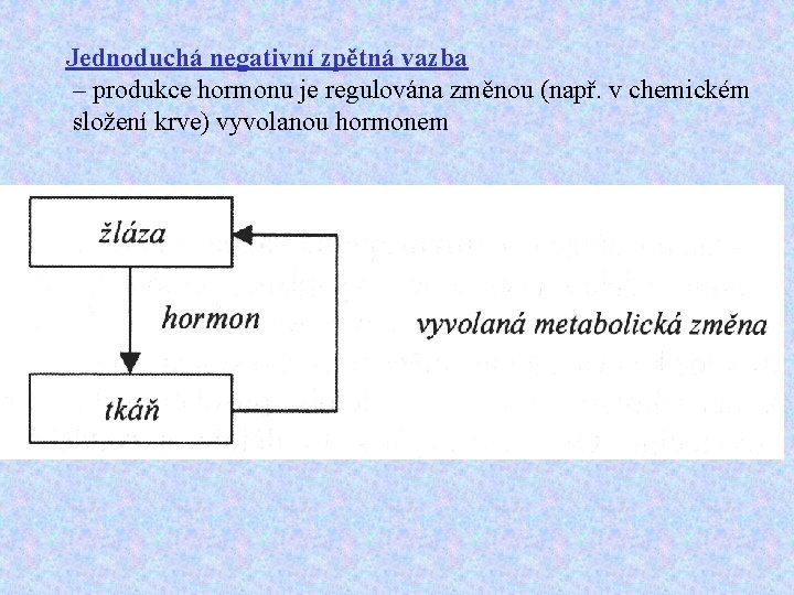 Jednoduchá negativní zpětná vazba – produkce hormonu je regulována změnou (např. v chemickém složení