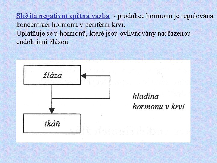 Složitá negativní zpětná vazba - produkce hormonu je regulována koncentrací hormonu v periferní krvi.