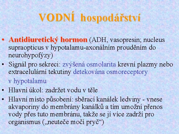 VODNÍ hospodářství • Antidiuretický hormon (ADH, vasopresin; nucleus supraopticus v hypotalamu-axonálním prouděním do neurohypofýzy)