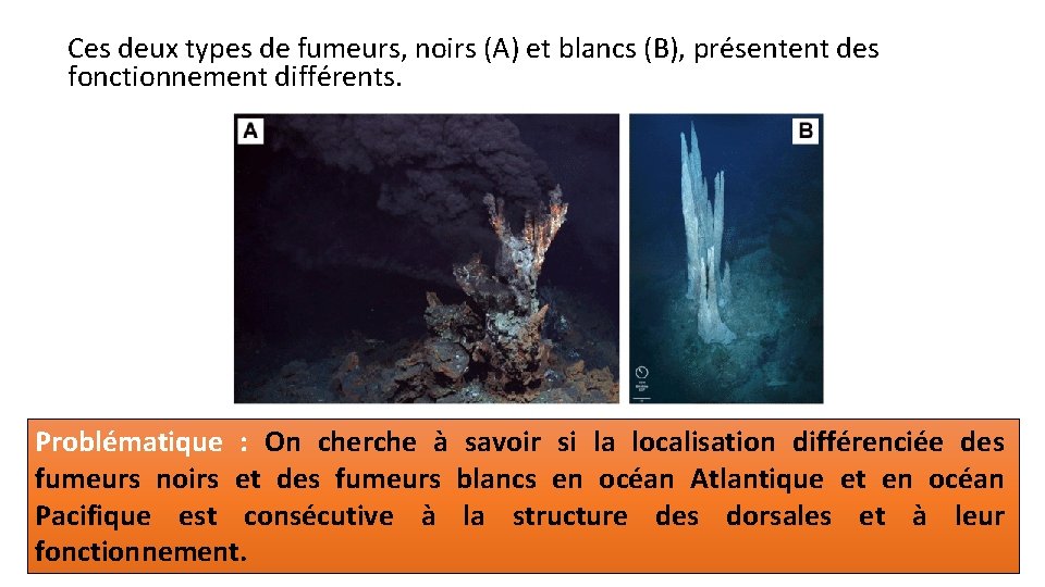 Ces deux types de fumeurs, noirs (A) et blancs (B), présentent des fonctionnement différents.