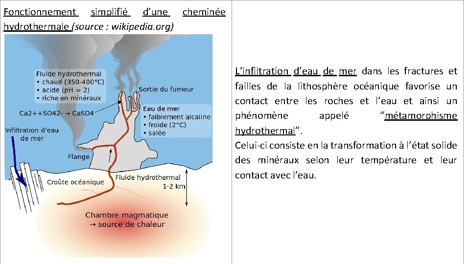 Fonctionnement simplifié d’une cheminée hydrothermale (source : wikipedia. org) L’infiltration d’eau de mer dans
