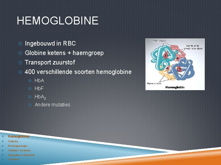 HEMOGLOBINE Ingebouwd in RBC Globine ketens + haemgroep Transport zuurstof 400 verschillende soorten hemoglobine