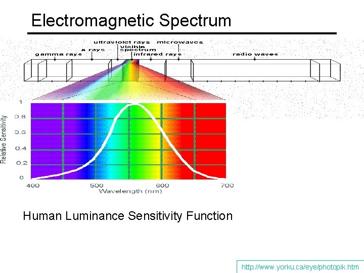 Electromagnetic Spectrum Human Luminance Sensitivity Function http: //www. yorku. ca/eye/photopik. htm 