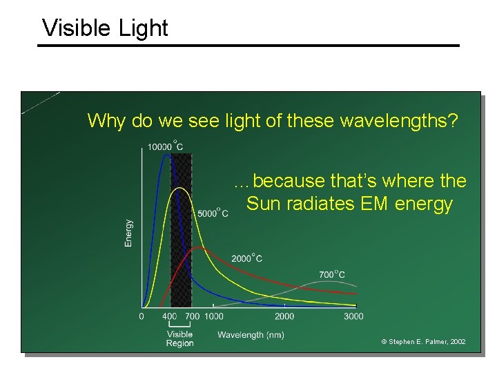 Visible Light Why do we see light of these wavelengths? …because that’s where the