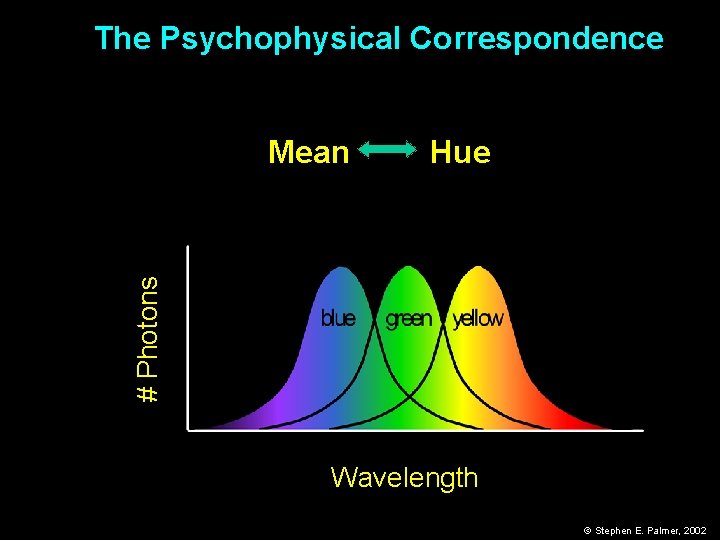 The Psychophysical Correspondence Hue # Photons Mean Wavelength © Stephen E. Palmer, 2002 